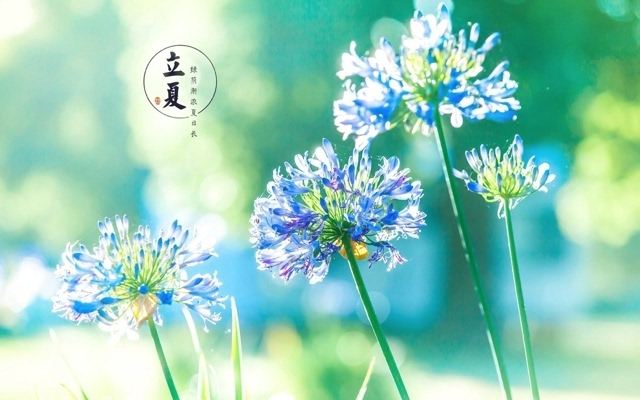 易尚國(guó)際 | 近期新開(kāi)工工地匯總（五十六）.jpg