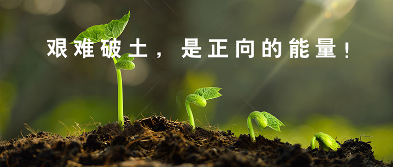 【標(biāo)桿實(shí)錄】西鄉(xiāng)易尚國際成長記之初出茅廬.jpg