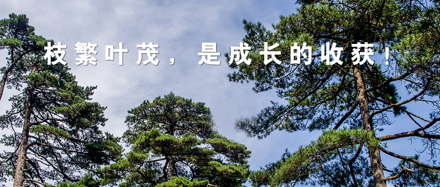 【標桿實錄】西鄉易尚國際成長記之公司理念.jpg