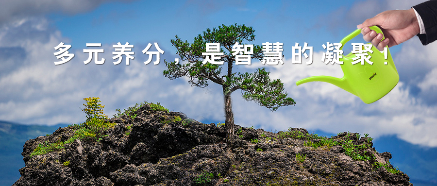 標(biāo)桿實(shí)錄 西鄉(xiāng)易尚國際成長記之團(tuán)隊打造.jpg